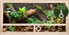 Repiterra® Terrarium Seitenbelüftung Holzterrarium OSB Holz Produktbild-Vorschau 2
