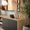A TV cabinet with decorative items and a plant in a modern living room setting. Produktbild-Vorschau