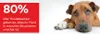 PRO | Formateur en relaxation CHIEN Voir les images du produit 11