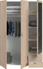 Drehtürenschrank >Daily 14< 3 Türen, 1 Spiegel, 2 Produktbild-Vorschau 3