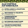 Casaria Ghirlanda di Natale Illuminazione 2x 5m 100 LED Anteprima dell’immagine prodotto 7