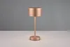 Trio Leuchten - Moderná stolová lampa hnedá dobíjacia - Náhľad obrázku produktu 9