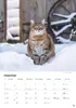 Katzen Kalender 2027 Produktbild-Vorschau 5