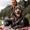 AniForte W-Liquid für Hunde, Katzen & Kleintiere 50 ml - Produktbild-Vorschau 5