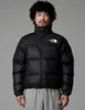 The North Face 1996 Retro Nuptse Winterjacke Herren Produktbild-Vorschau 11