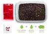 Delphin Reaxe Method Feeder Pellet Box ReadyAndGo 400g - Anteprima dell’immagine prodotto 3