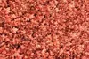 6 x  Heuchera hybr. 'Paprika' - Purpurglöckchen - Topf 9 x Produktbild-Vorschau 2