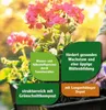 Balkonblumenerde FloraSelf 50 L Produktbild-Vorschau 3
