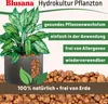 Blusana Blähton Hydrokultur & Drainage Tongranulat Produktbild-Vorschau 4