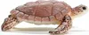 Schleich schleich® WILD LIFE 14876 Echte Karettschildkröte Produktbild-Vorschau 3