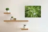 Leinwandbild Bäume Blätter 50 x 70 cm - Wandbild Wald Grün Produktbild-Vorschau 2