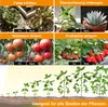 LED plantlamp, volledig spectrum, 100W LED kweeklamp met Productafbeelding-voorbeeld 7
