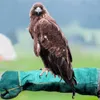 Płócienne, niebieskie rękawice ochronne dla gadów, Podgląd zdjęcia produktu 5