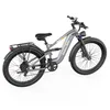 Bicicleta eléctrica CF500 para terrenos difíciles, 48 V, 20 Vista previa de la imagen del producto 18