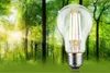 Paulmann Eco-Line Filament 230V LED Ampoule individuelle Voir les images du produit 6
