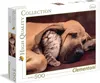 Clementoni 35020, 500 Stück(e), Tiere, 14 Jahr(e) Produktbild-Vorschau 1