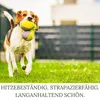 HEGA Grasland Rasensamen Sport und Spiel Grassamen Saatgut Produktbild-Vorschau 3