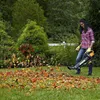 WORX WG505E Trivac dmuchawa do liści 3000W 3w1 Podgląd zdjęcia produktu 22