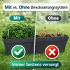 Blumenkasten mit Wasserspeicher Pflanzkasten Balkonkasten Produktbild-Vorschau 4