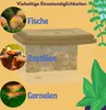 2er Set Nano Aquarium Terrarium Faunarium Urzeitkrebse Produktbild-Vorschau 3