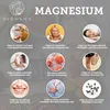 QIDOSHA Magnesium Bisglycinat Kapseln, 300 Stk im… – Bild 4 Produktbild-Vorschau