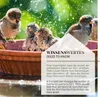 WILDLIFE HOME Vogeltränke hängend I Vogelfutterspender zum Produktbild-Vorschau 6