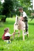 Set di giochi per la toelettatura del cavallo con borsa Anteprima dell’immagine prodotto 2
