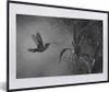 MuchoWow® MuchoWow® Gerahmtes Poster Kolibri im Regen in Produktbild-Vorschau 1