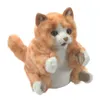Folkmanis Orange Tabby, Handpuppe, Tier, 1 Stück(e) Produktbild-Vorschau 10
