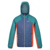 Regatta - "Trutton" Softshelljacke mit Kapuze für Herren Produktbild-Vorschau 1