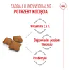 Royal Canin Kitten Sterilised, Kitten, jede Rasse, Produktbild-Vorschau 4