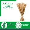 Novatool 100x Splittstäbe 60 cm x 5,5 mm I natur I Produktbild-Vorschau 2