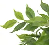 hjh OFFICE Umelá rastlina FICUS I Umelá rastlina breza Náhľad obrázku produktu 2