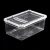 Terrario Terrarium Faunarium 33x22x15cm Terrario Podgląd zdjęcia produktu 2