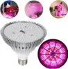 26W LED Pflanzenlampe Vollspektrum E27, Grow Light Birne Produktbild-Vorschau 1
