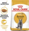 Royal Canin Feline British Shorthair - 4 kg Produktbild-Vorschau 1