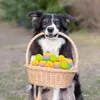 Hračka pre psov Trixie – Veľkonočné vajíčko z latexu Náhľad obrázku produktu 2