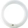 A circular fluorescent light bulb on a white background. Anteprima dell’immagine prodotto
