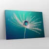 Bild auf Leinwand - Leinwandbild - Pflanze Natur - 120x80cm Produktbild-Vorschau 4