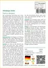 SAFLAX - Himalaya Zeder - Cedrus deodara - 35 Samen Produktbild-Vorschau 3
