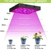 25w 81leds Pflanzenlampe Led Vollspektrum, UV Pflanzen Grow Produktbild-Vorschau 9