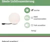 Paulmann Plug & Shine LED Lichtobjekt Globe Voir les images du produit 4