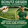 DÜNGEMEISTER Herbst Rasendünger – mit Langzeitwirkung und Produktbild-Vorschau 6
