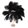 Lampa stołowa Feather 3 kolory Ściemnialny przełącznik Podgląd zdjęcia produktu 5