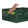Stabile Klappbox aus Kunststoff 600 x 400 x 219 mm Produktbild-Vorschau 6