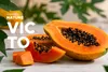 Konsimo Essservice Tafelservice VICTO Geschirrset Produktbild-Vorschau 16