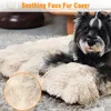 WISFOR Lettino ortopedico per cani, divano per cani, cuccia Anteprima dell’immagine prodotto 8