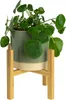 A potted plant on a bamboo stand against a white background. Produktbild-Vorschau