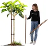 KADAX Holzstäbe 120 cm x 23 mm, 10er Set, Pflanzstäbe aus Produktbild-Vorschau 5