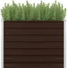 A raised garden bed filled with green plants. Produktbild-Vorschau